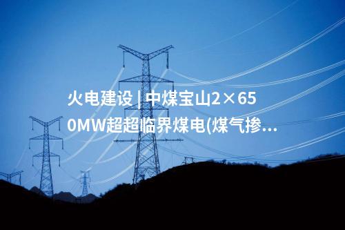 火電項(xiàng)目 | 279.2萬元！2×660MW項(xiàng)目柴油發(fā)電機(jī)設(shè)備中標(biāo)公示