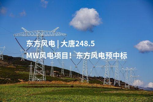 東方風(fēng)電 | 大唐248.5MW風(fēng)電項(xiàng)目！東方風(fēng)電預(yù)中標(biāo)